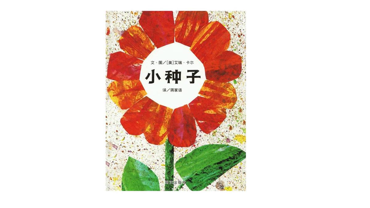 大班《小种子快长大》+课件第8页