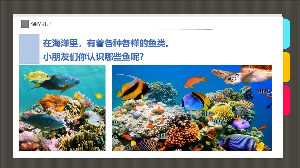 大班《大鲨鱼》+课件第5页