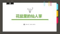 大班《花盆里的仙人掌》+课件