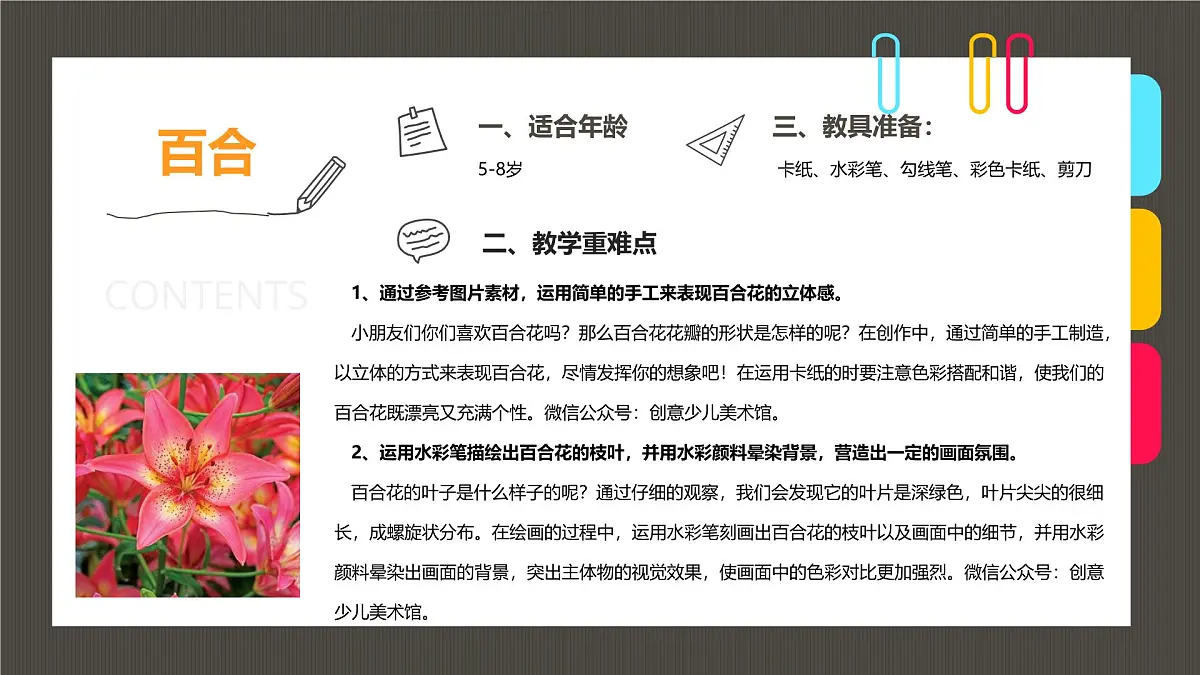 大班《百合》+课件第2页