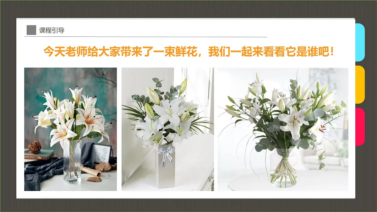 大班《百合》+课件第6页
