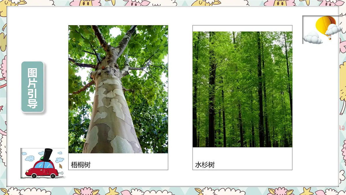 通用 学前教育 大班《樱花树》课件第6页