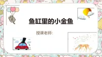 通用 学前教育 大班《鱼缸里的小金鱼》课件