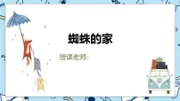 通用 学前教育 大班《蜘蛛的家》课件