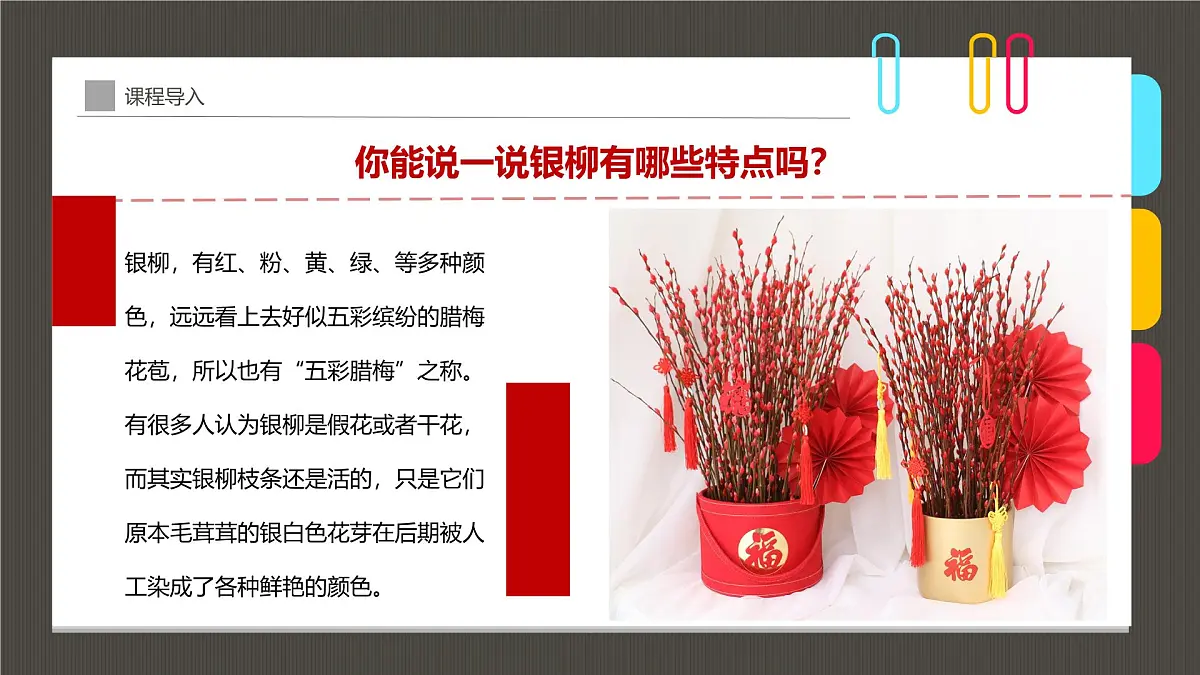 通用 学前教育 大班《银柳到家,银两到家》课件第8页