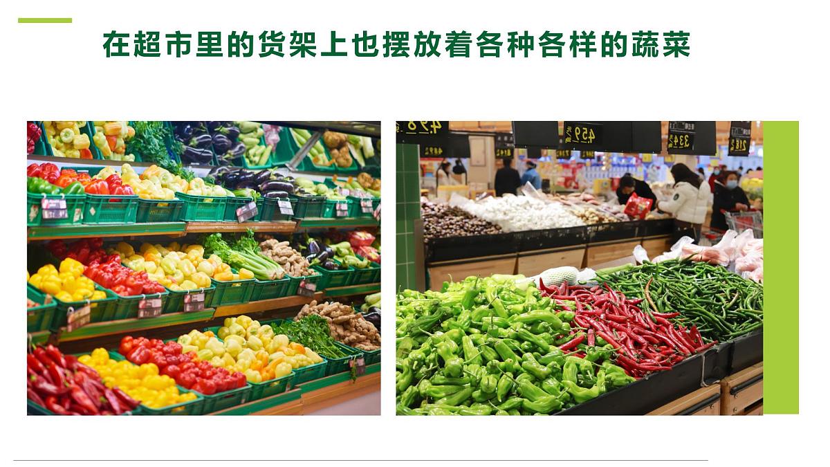 通用 学前教育 大班《土豆大丰收》课件第4页