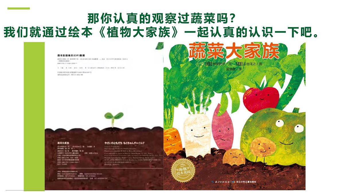 通用 学前教育 大班《土豆大丰收》课件第6页