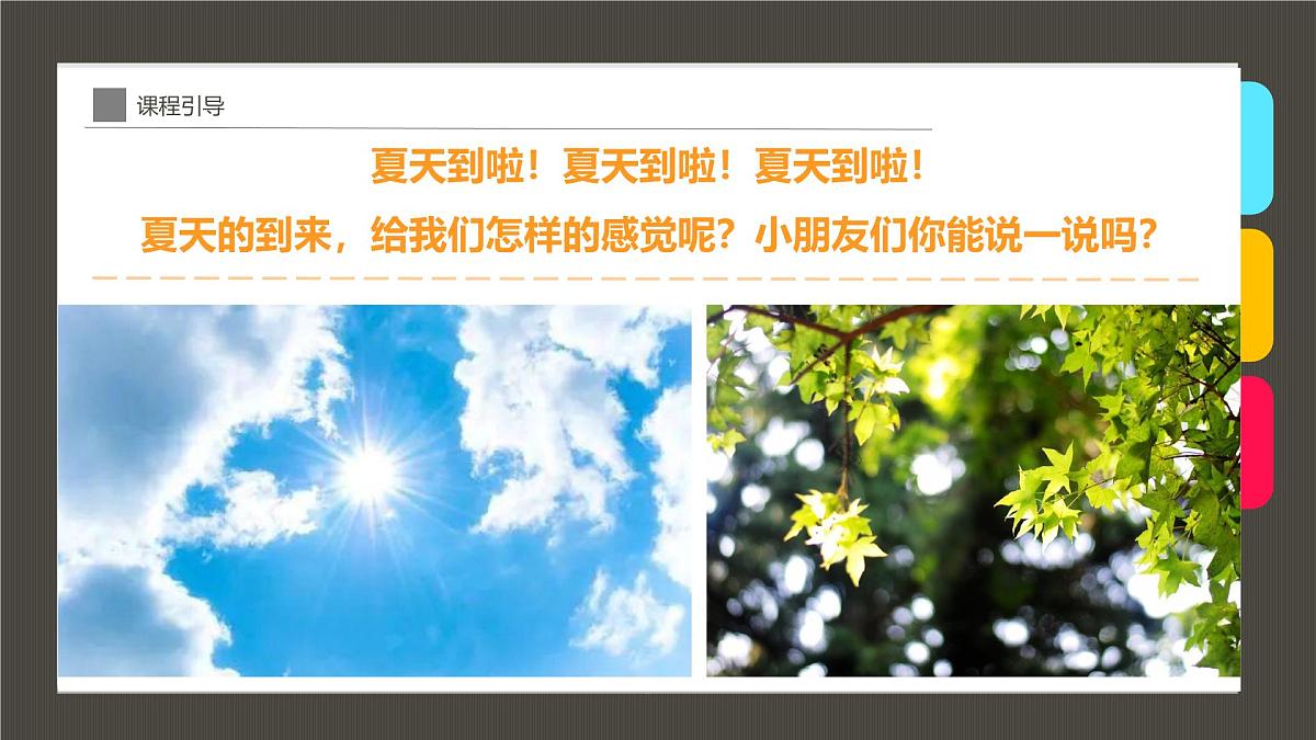 通用 学前教育 大班《但惜夏日长》课件第4页