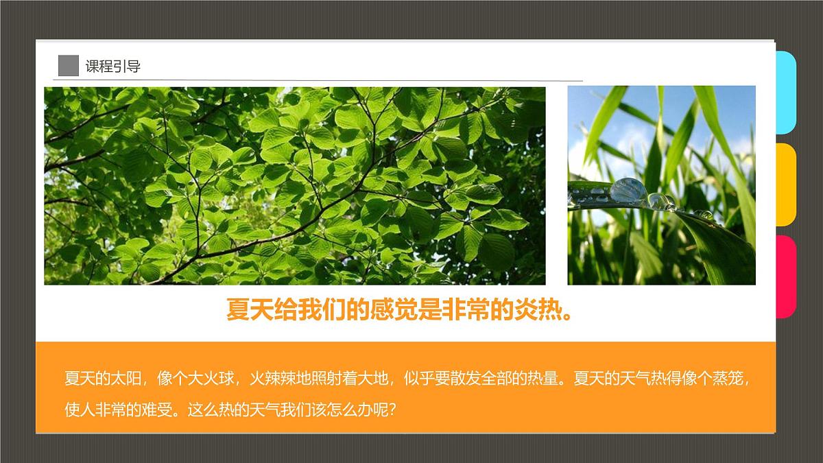 通用 学前教育 大班《但惜夏日长》课件第5页