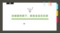 通用 学前教育 大班《池塘里树荫下，鳄鱼宝宝在玩耍》课件