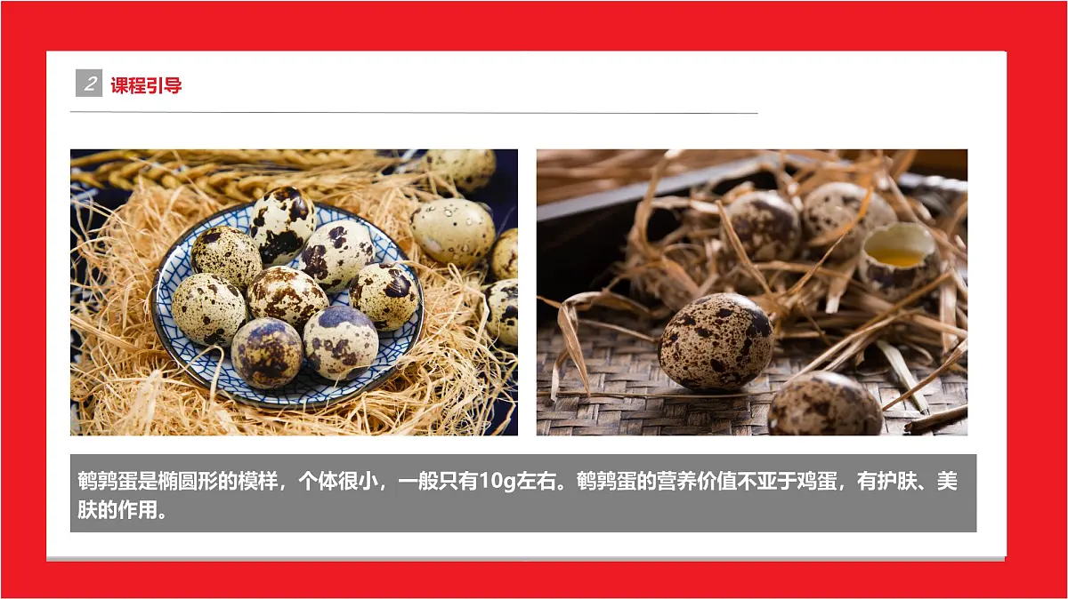 通用 学前教育 大班《鹌鹑蛋》课件第5页