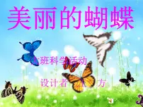大班科学课件（ppt）：美丽的蝴蝶