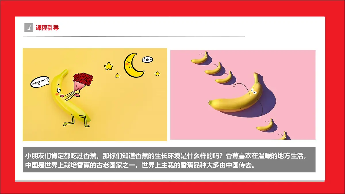 学前教育大班《调皮的香蕉》课件第4页