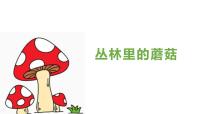学前教育大班《丛林里的蘑菇》课件
