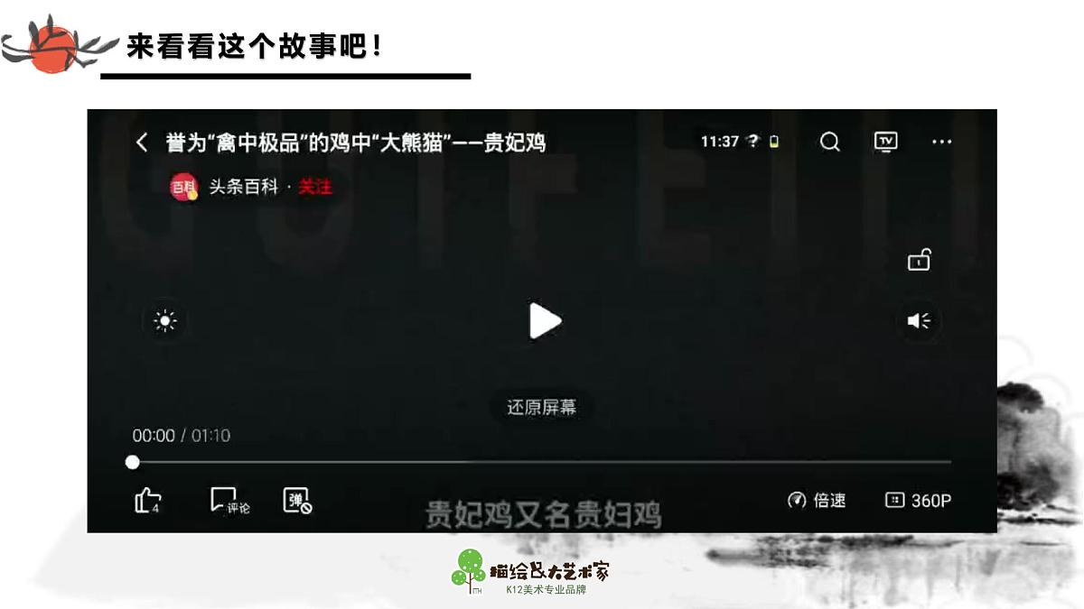 学前教育大班《贵妃鸡》课件第4页