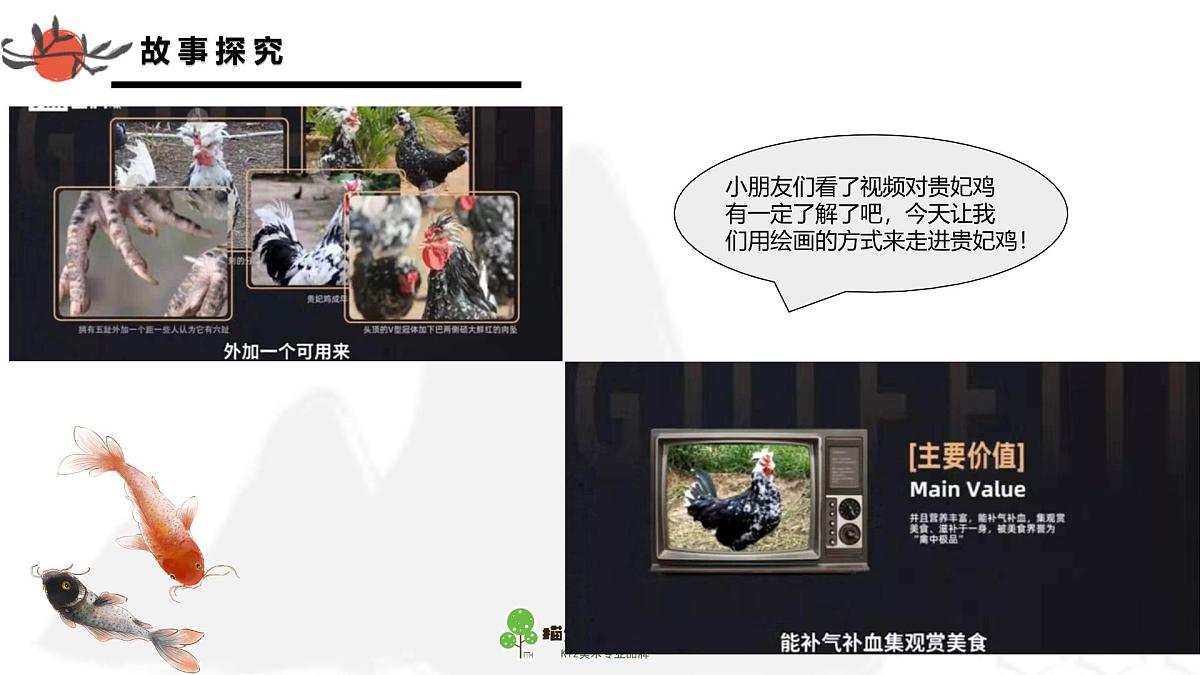 学前教育大班《贵妃鸡》课件第5页