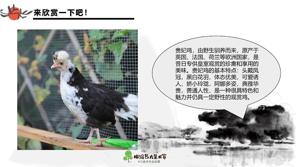 学前教育大班《贵妃鸡》课件第7页