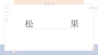 学前教育大班《松果》课件