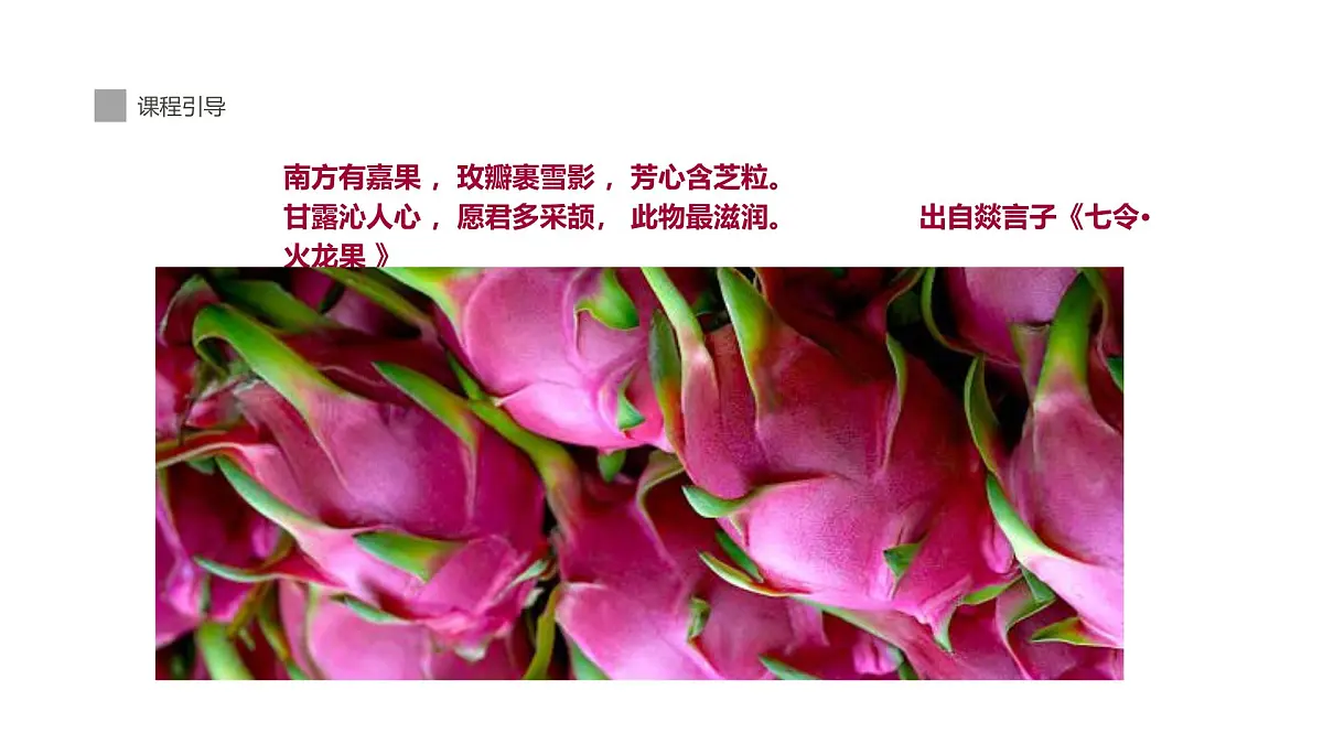 学前教育大班《火龙果》.》课件第5页