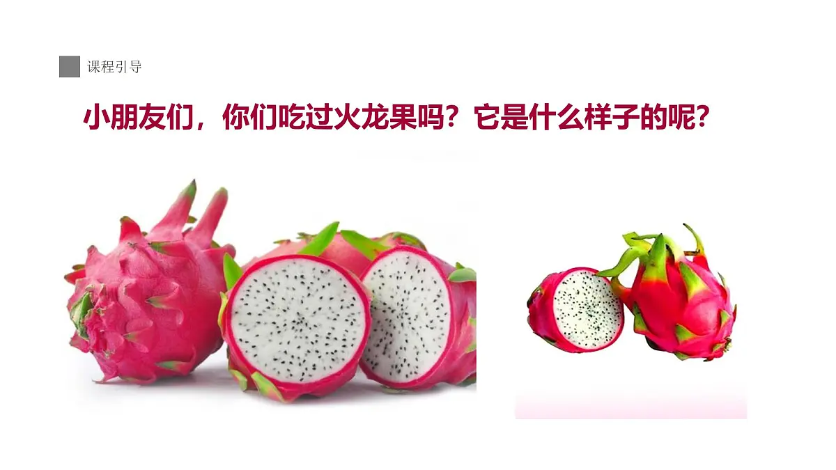 学前教育大班《火龙果》.》课件第7页