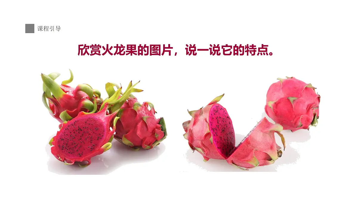 学前教育大班《火龙果》.》课件第8页
