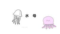 学前教育大班《水母》课件