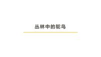 学前教育大班《鸵鸟》课件