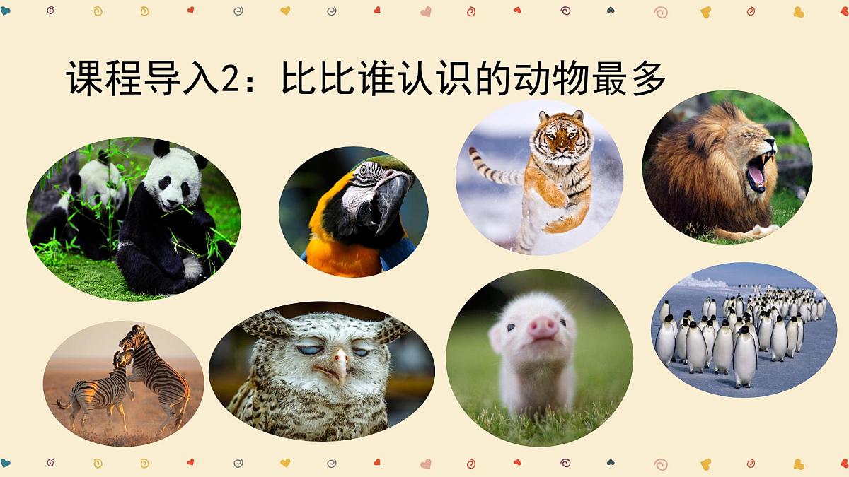学前教育大班《动物王国入场券》课件第4页