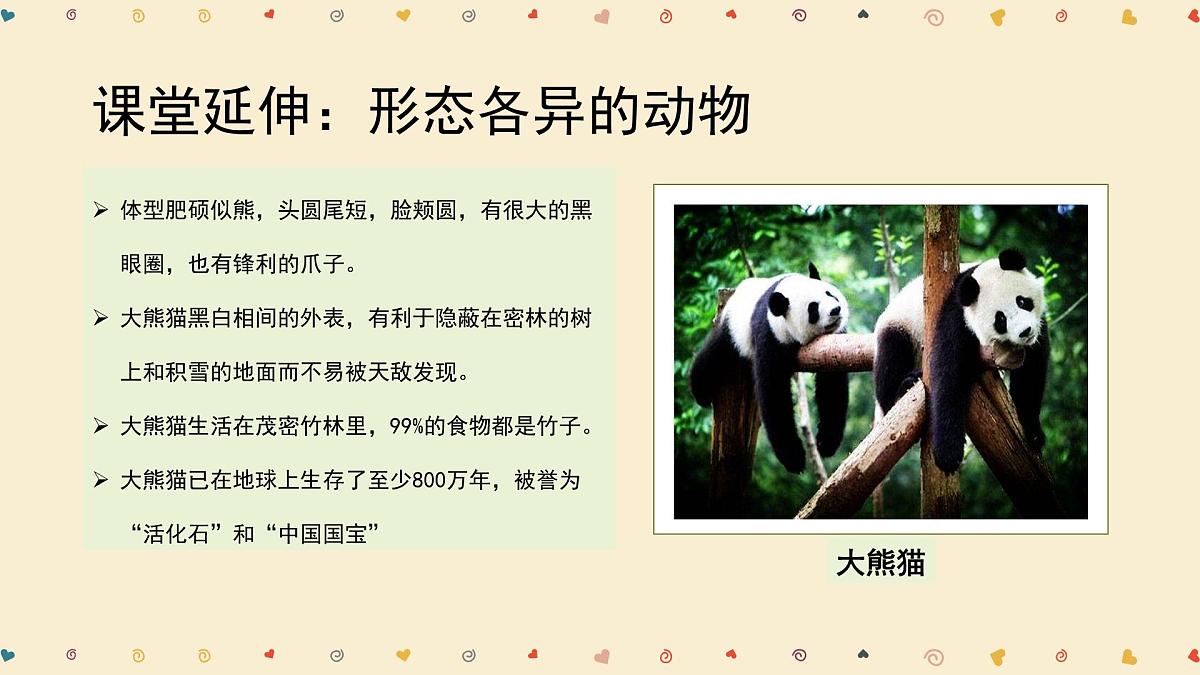 学前教育大班《动物王国入场券》课件第6页