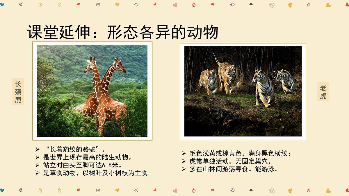 学前教育大班《动物王国入场券》课件第7页