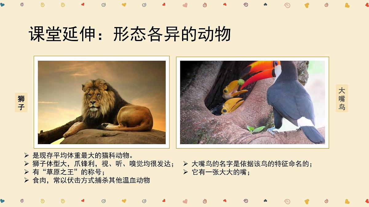 学前教育大班《动物王国入场券》课件第8页