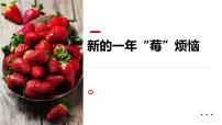 学前教育大班《新的一年“莓”烦恼》课件