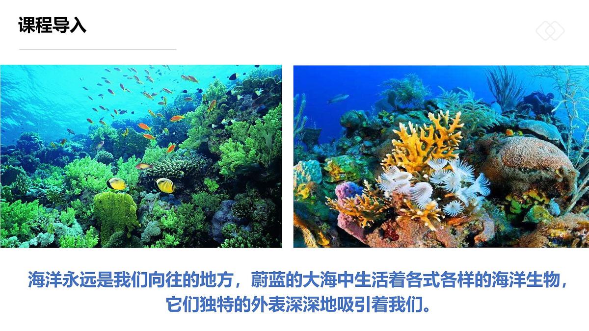 学前教育大班《坠落海底的“星星”》课件第4页