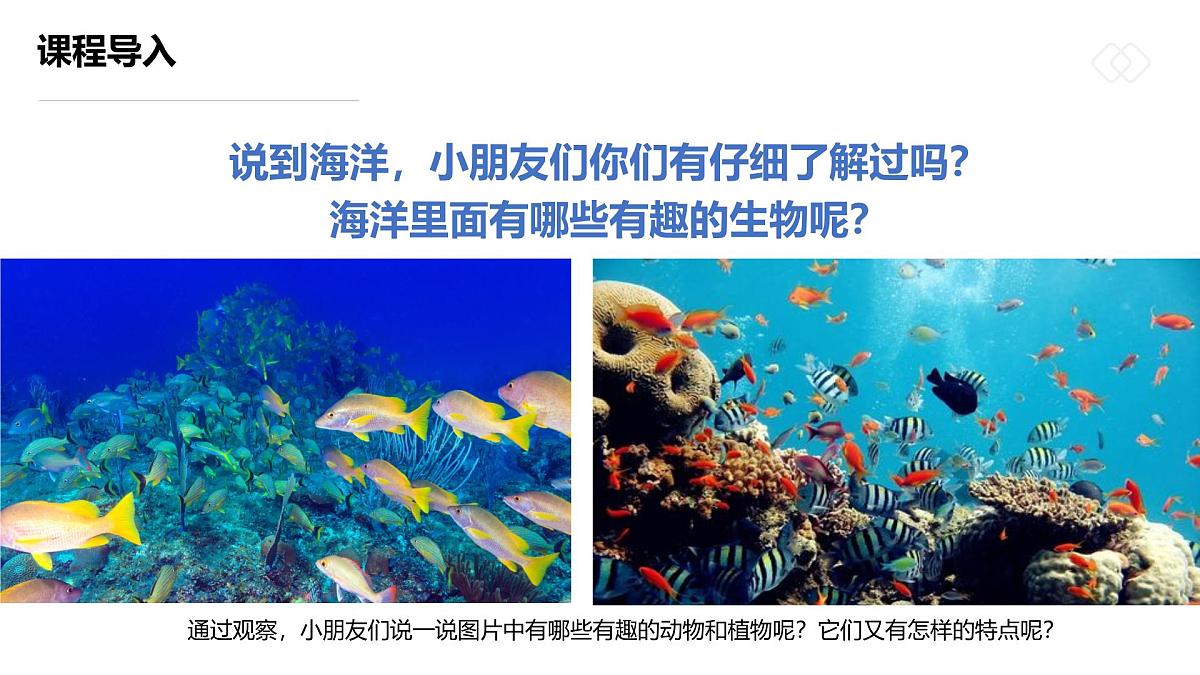 学前教育大班《坠落海底的“星星”》课件第5页