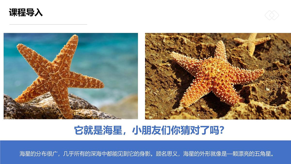 学前教育大班《坠落海底的“星星”》课件第7页