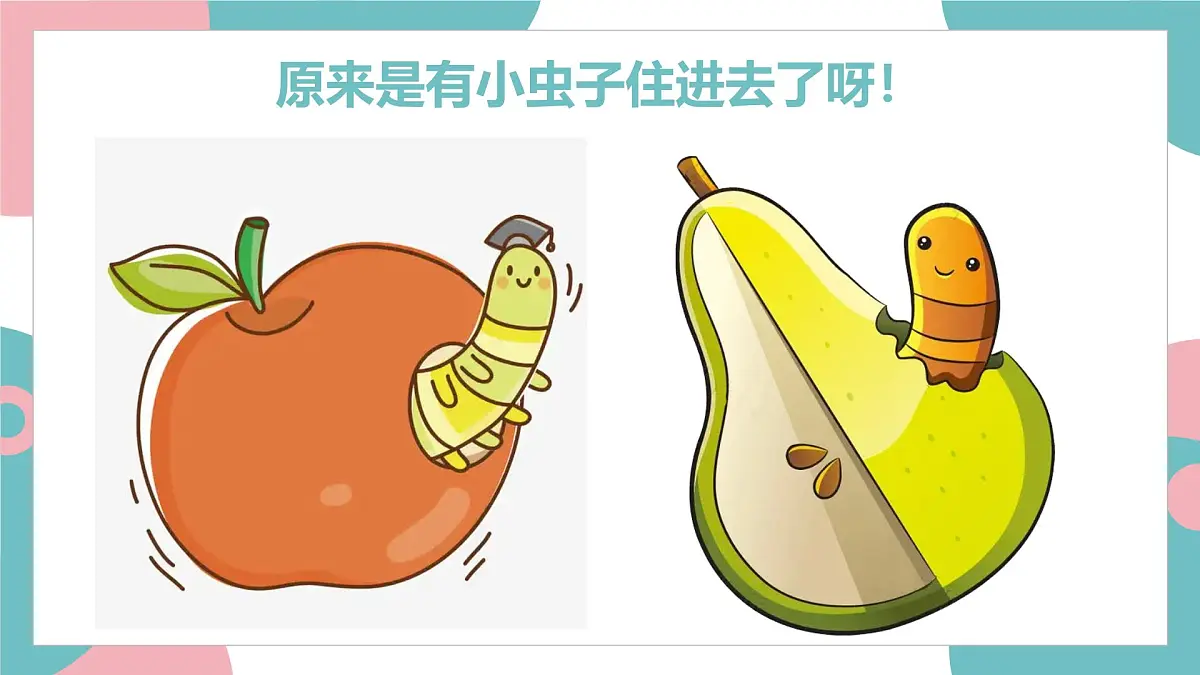 学前教育大班《小虫住在哪儿?》课件第5页