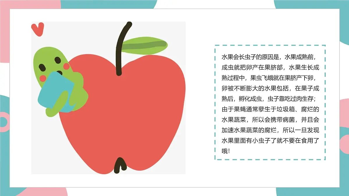 学前教育大班《小虫住在哪儿?》课件第6页