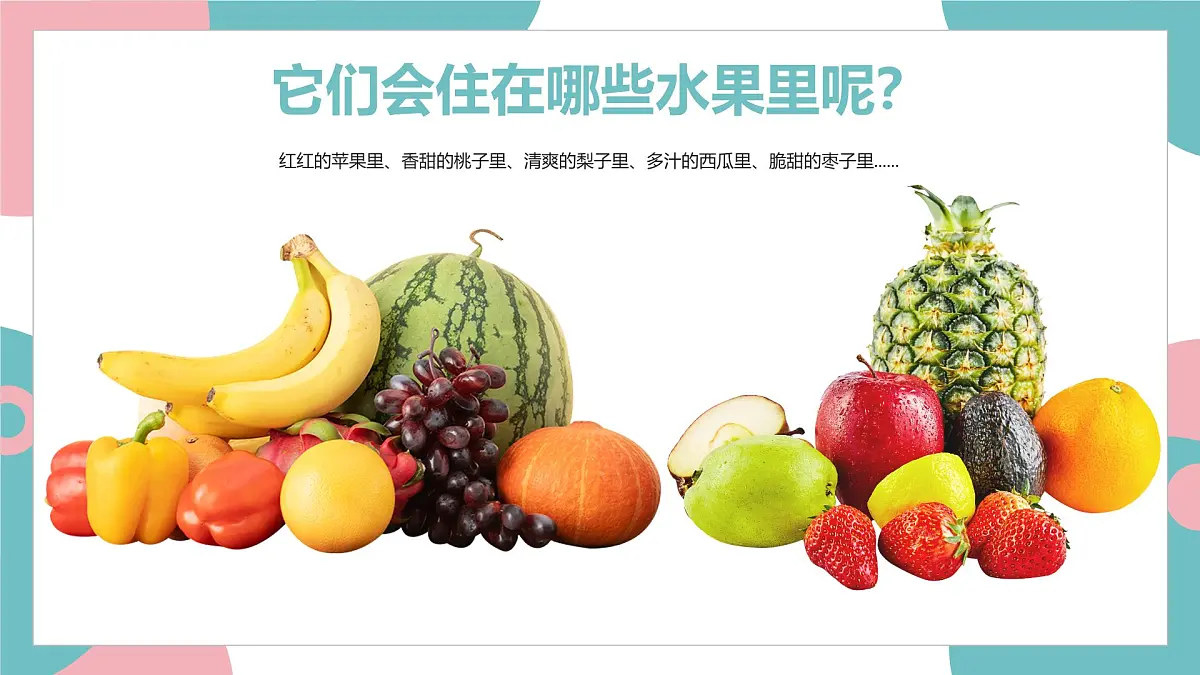 学前教育大班《小虫住在哪儿?》课件第8页
