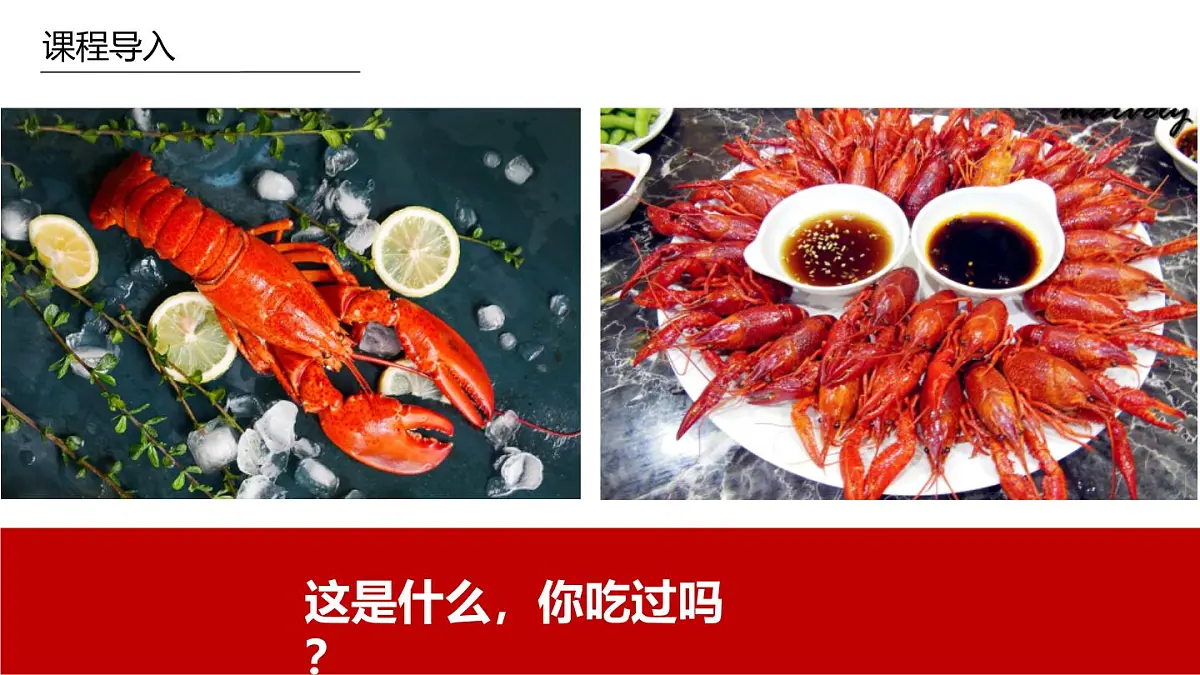 学前教育大班《小龙虾》课件第4页