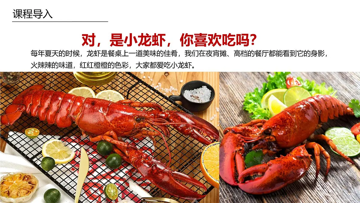 学前教育大班《小龙虾》课件第5页