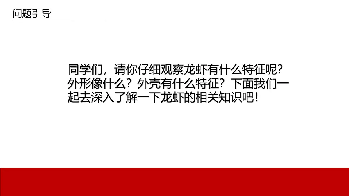 学前教育大班《小龙虾》课件第7页