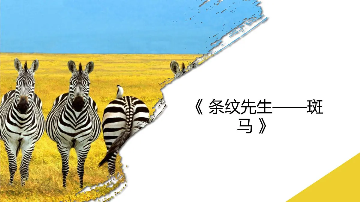 学前教育大班《条纹先生——斑马》课件第1页