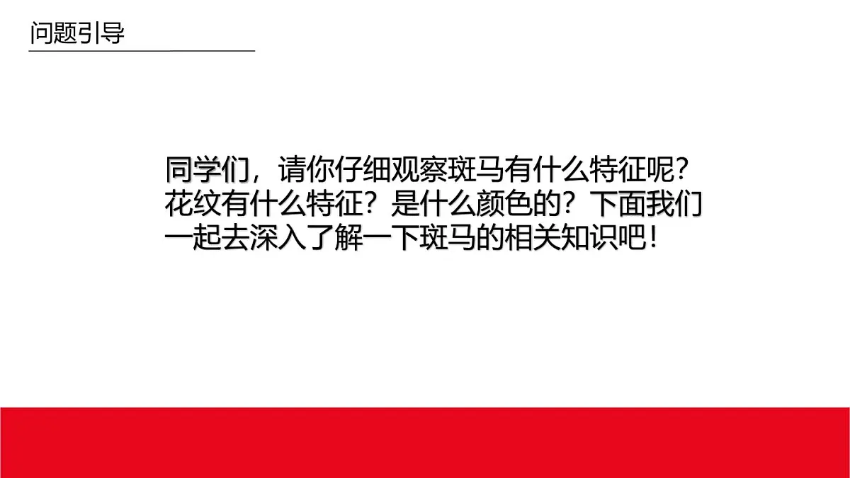 学前教育大班《条纹先生——斑马》课件第7页