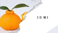 学前教育大班《丑橘》课件