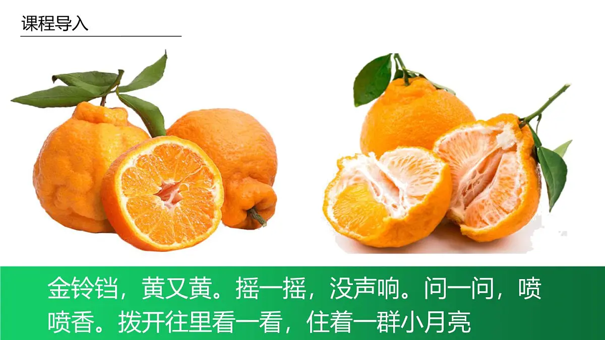 学前教育大班《丑橘》课件第4页