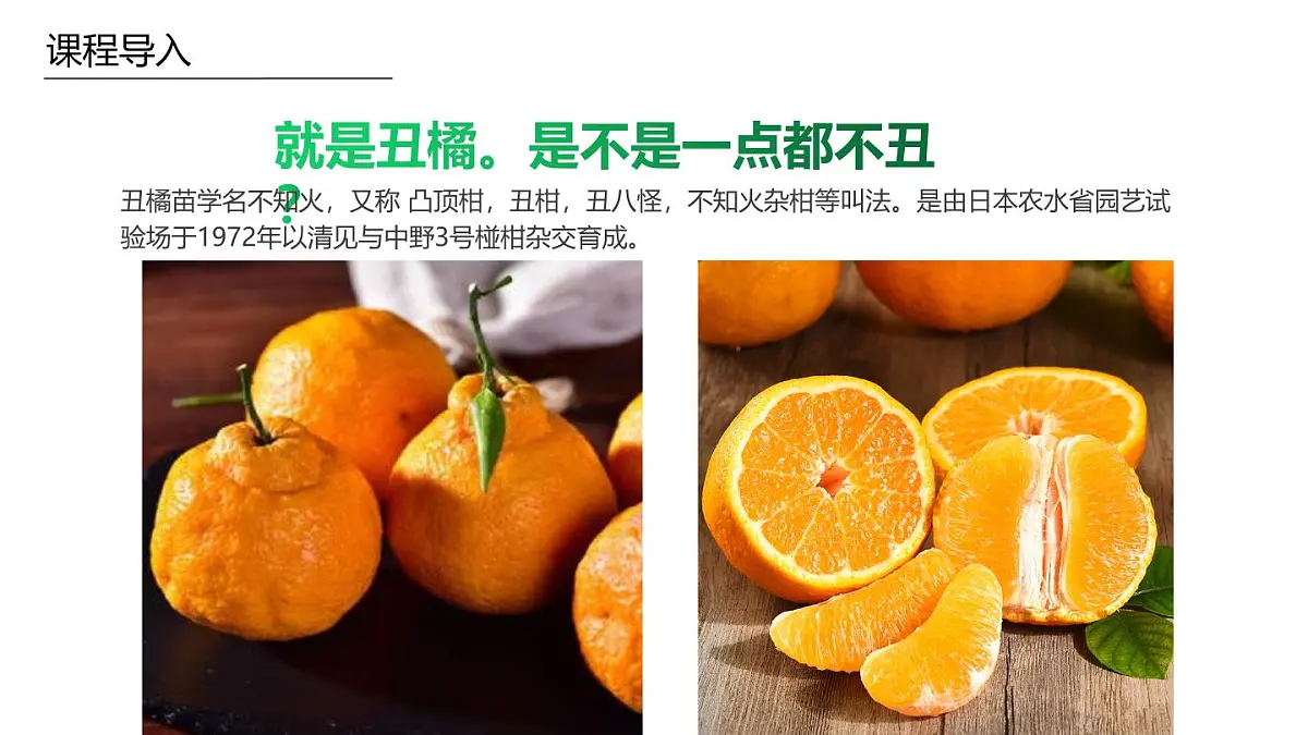 学前教育大班《丑橘》课件第5页