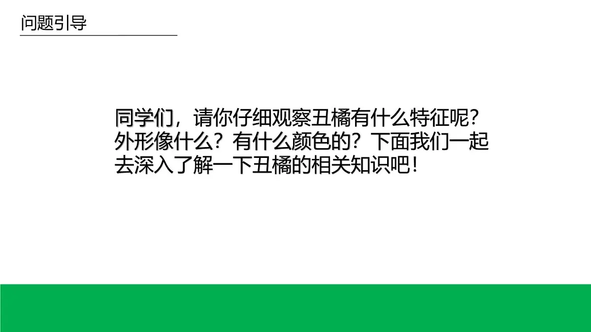 学前教育大班《丑橘》课件第7页