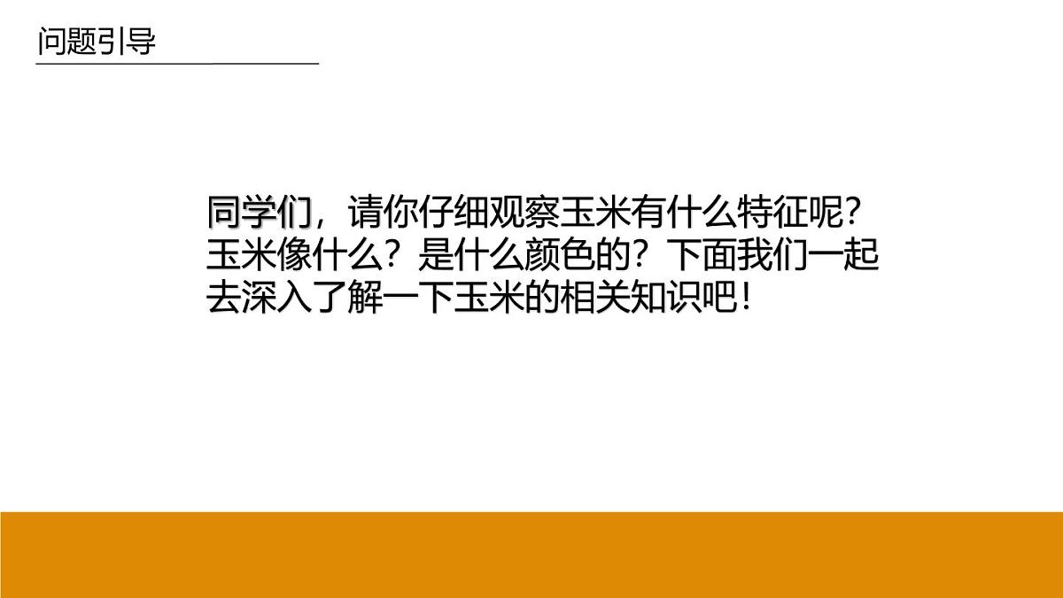学前教育大班《玉米》课件第7页