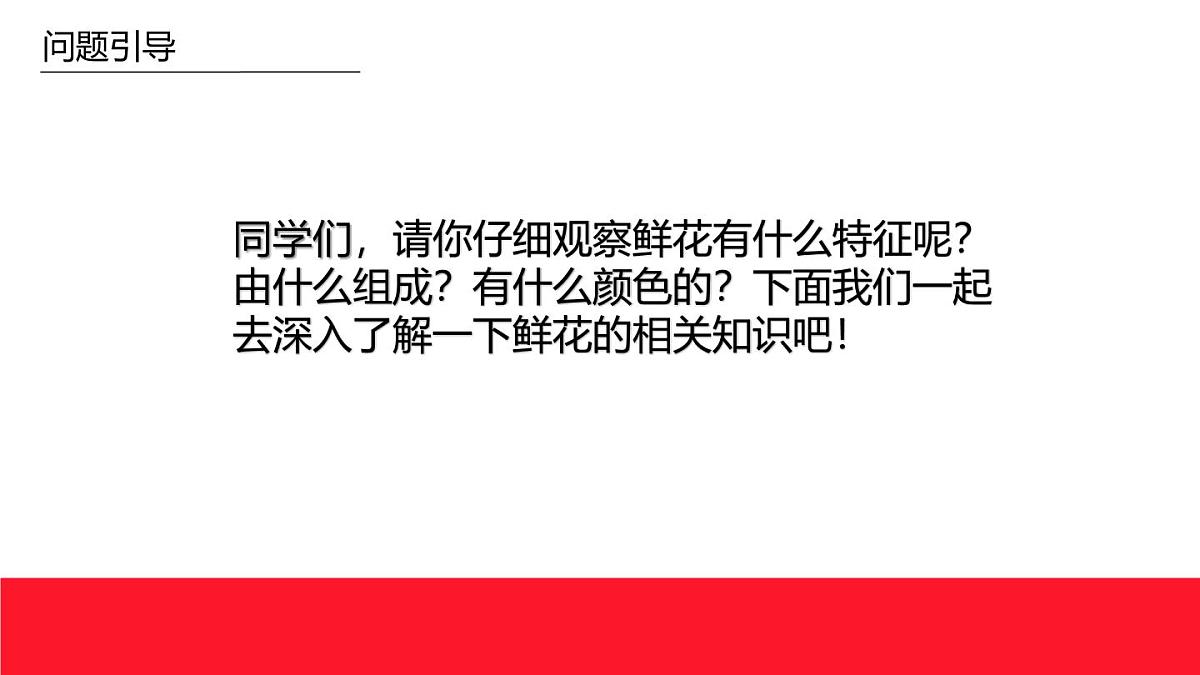 学前教育大班《野花》课件第7页