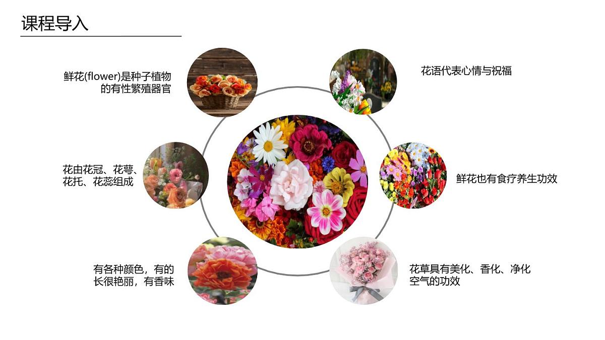 学前教育大班《野花》课件第8页